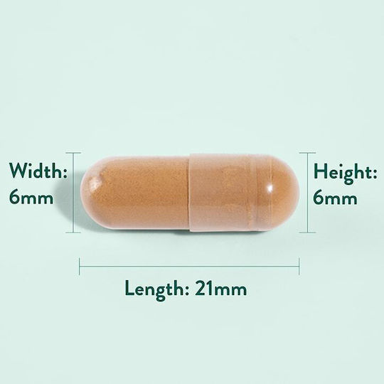 Holland & Barrett Astragalus 470mg 90 Comprimate