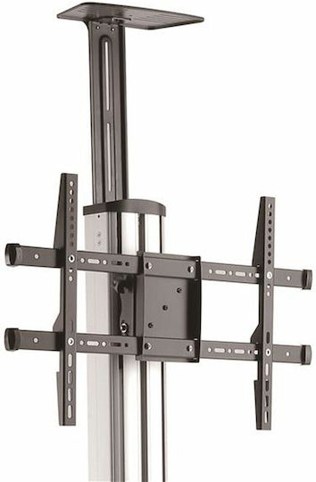 StarTech STNDMTV70 STNDMTV70 Стойка за телевизор Подов до 70" и 25кг