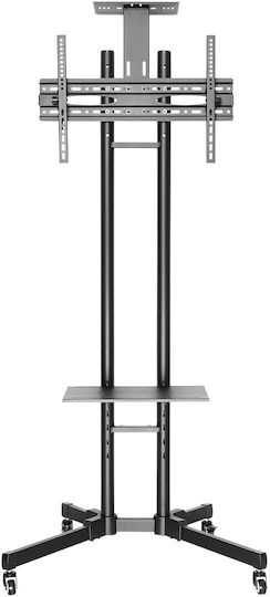 Newstar PLASMA-M1700ES PLASMA-M1700E Suport TV pardoseală până la 55" și 35kg