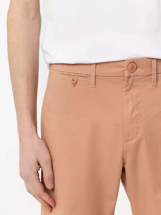 Men's Shorts Chino Pink