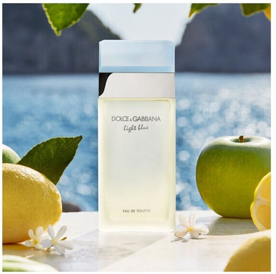 Dolce & Gabbana Light Blue Eau de Toilette 100ml