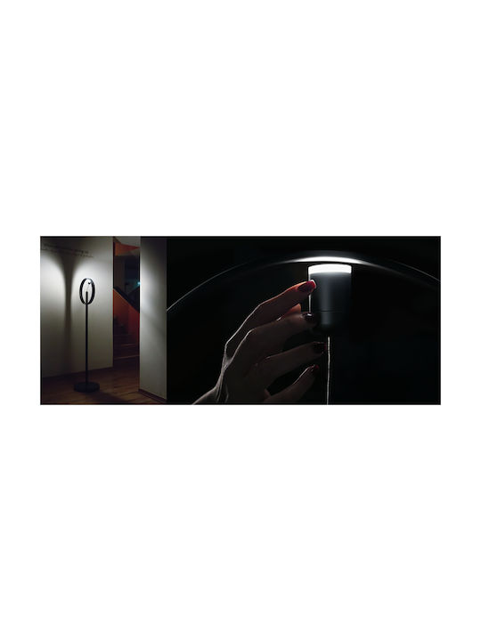 Allocacoc Dekorative Lampe Schwarz