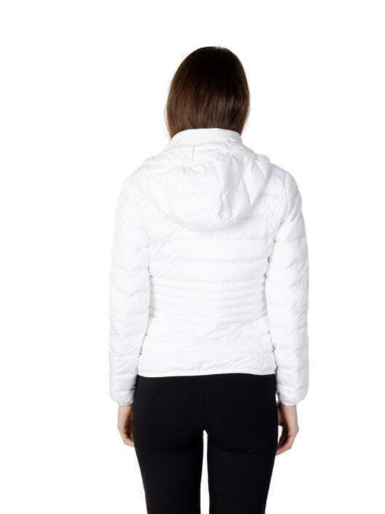 SYNC2FASHION-2146089