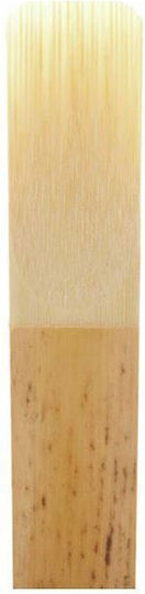 Daddario Woodwinds Reeds