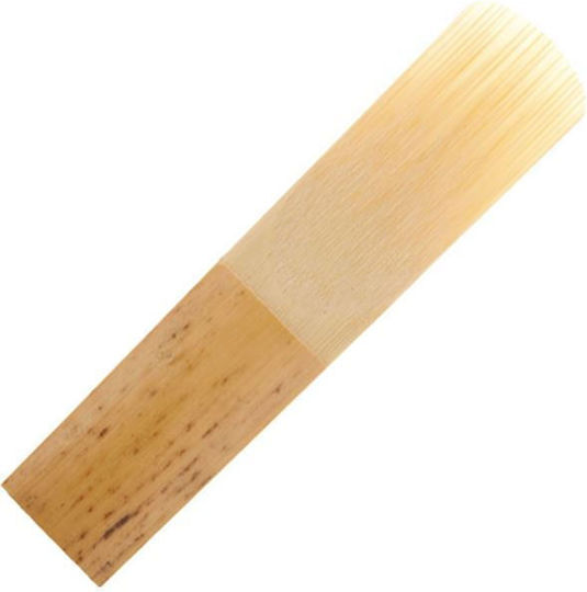 Daddario Woodwinds Reeds