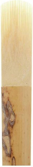 Daddario Woodwinds Schilfrohr 1Stück