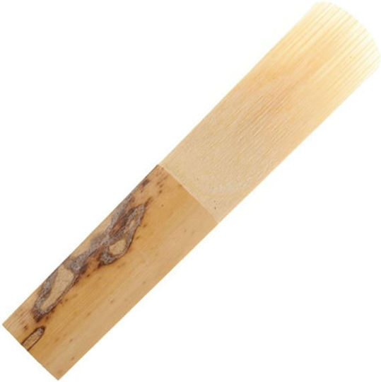 Daddario Woodwinds Schilfrohr 1Stück