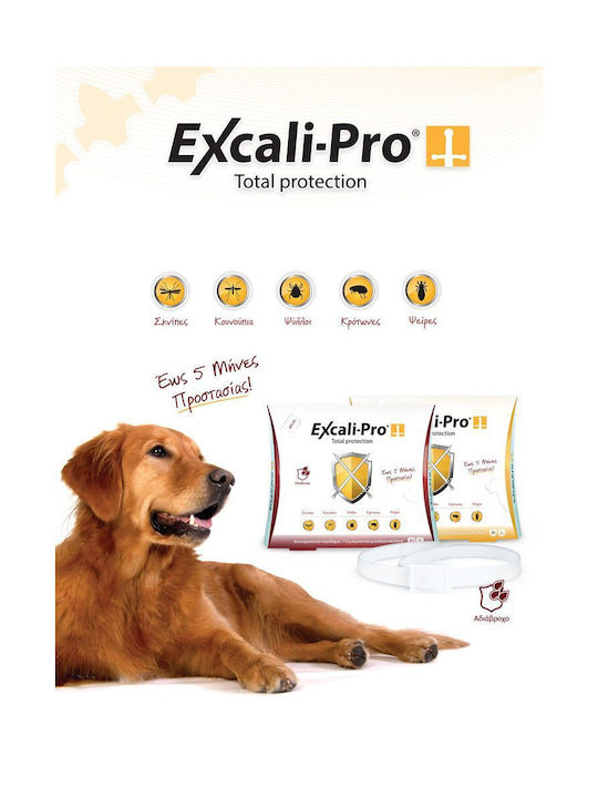 Ошийник в Бял Цвят XSmall Small 49см