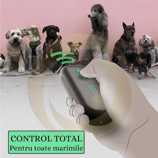 Ultraschallgerät Ausbildung Hund