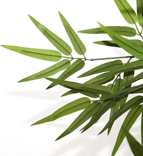 Bamboo Outdoor Tree Newplan