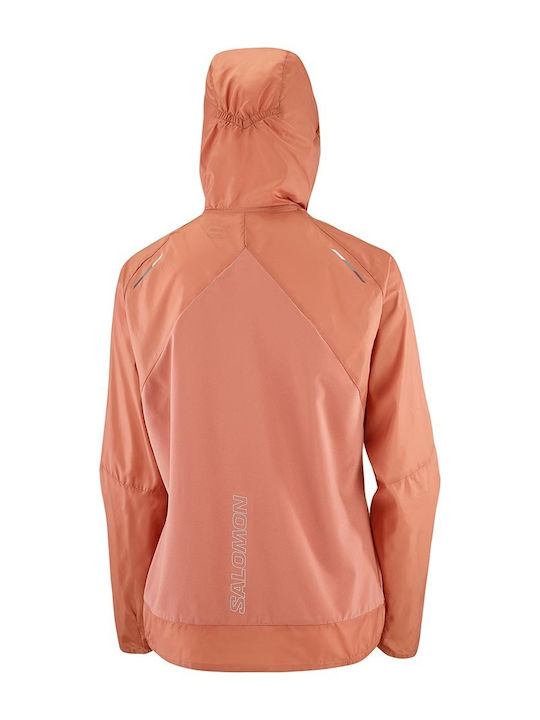Salomon Women's Running Short Lifestyle Jacket Waterproof and Windproof for Spring or Autumn with Hood Pink