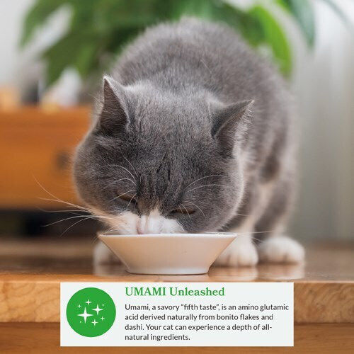 Inaba Chicken Treats for Adult Cats 70g