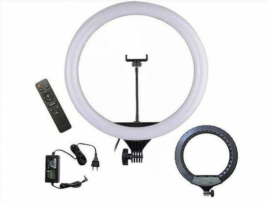 Andowl Ring Light 44cm 3200 - 5800K with Tripod Floor and Mobile Holder