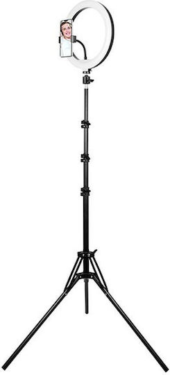 Tracer Ring Light 30cm με Επιτραπέζιο Τρίποδο και Βάση για Κινητό