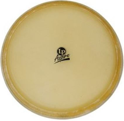 Latin Percussion 12"