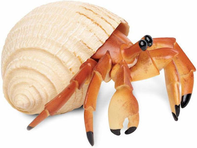 Μινιατούρες Safari Hermit Crab Καβούρι Ερημίτης