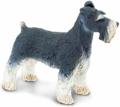 Miniature Safari Schnauzer Snowshoe Schnauzer