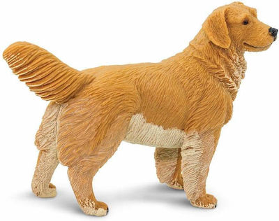 Μινιατούρες Safari Golden Retriever Σκύλος Ράτσας Golden Retriever