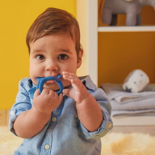 B.Box Μασητικό Βραχιόλι Οδοντοφυΐας Χωρίς BPA από Σιλικόνη για 3 m+