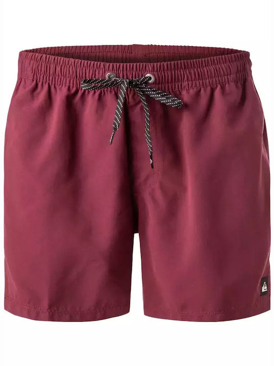 Quiksilver Everyday Men's Swimwear Shorts Purple