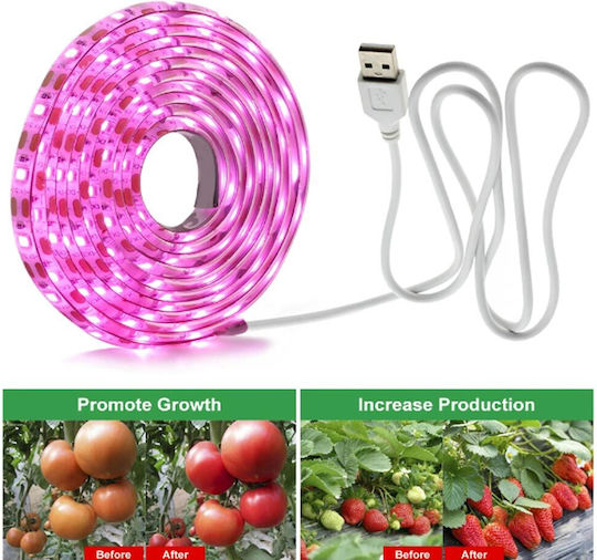 Ταινία LED USB 5V Ροζ Φως 3m Τύπου SMD3528 με Τροφοδοτικό