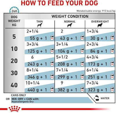 Royal Canin Wet Food Dog