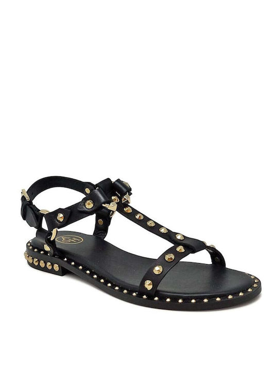 Ash Combo A Women's Flat Sandals in Black Color