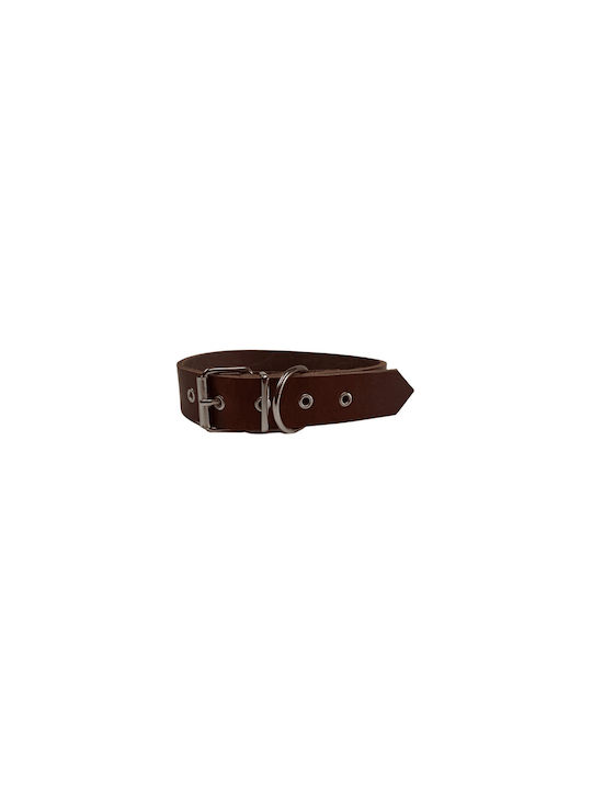 Pet Point Dog Collar