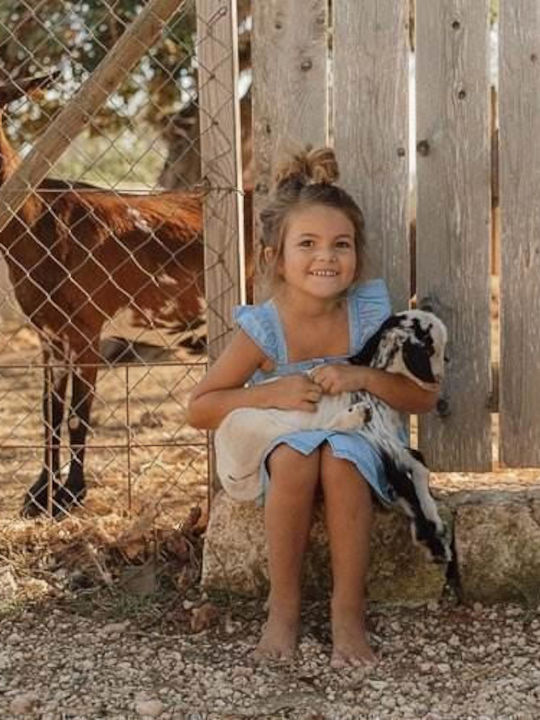 Little Dutch
