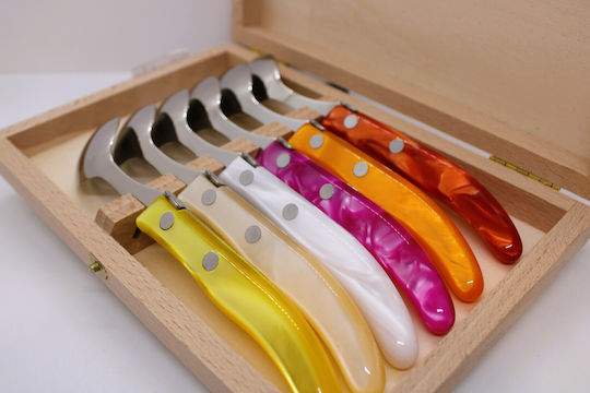 Claude Dozorme Laguiole Spoon Set Desert / Ice Cream Stainless Multicolor 6pcs
