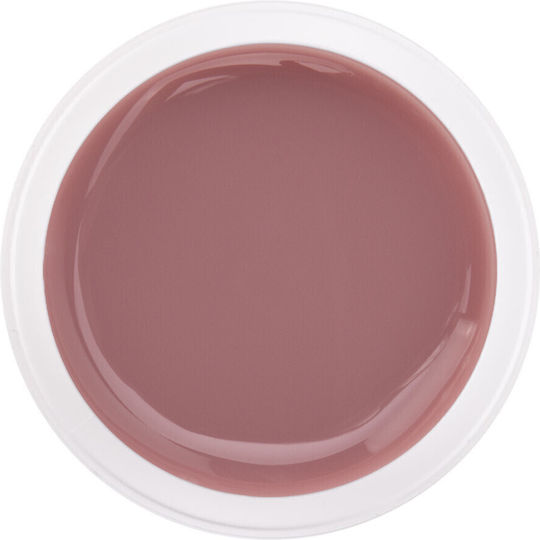 New Ntn Builder Gel Cover 50 G