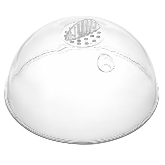 Green Blue Egg Cooker 7 Positions 400W Silver