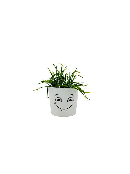 Σύνθεση Rhipsalis Κασπώ Φατσούλα Διπλή