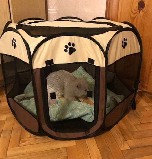 Park für Hunde in Beige Farbe 91 x 91 x 91cm