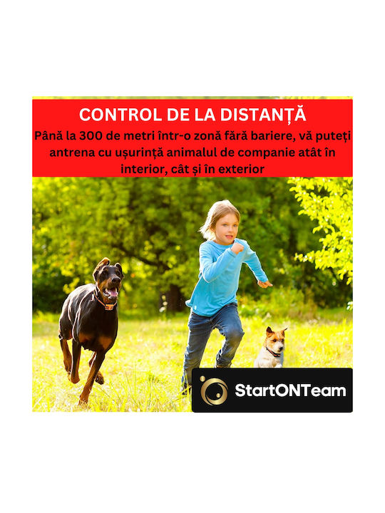 Professional Electric Dog Collar Training Hunting Dogs Remote Control Display Adjustable Black