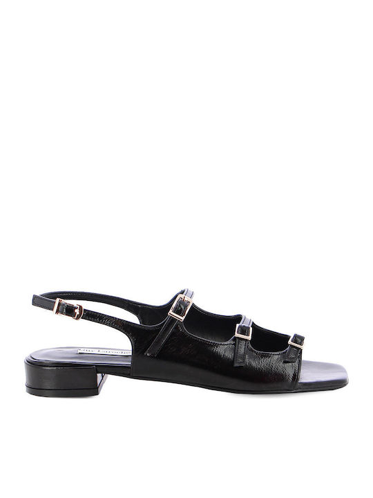 Guy Laroche