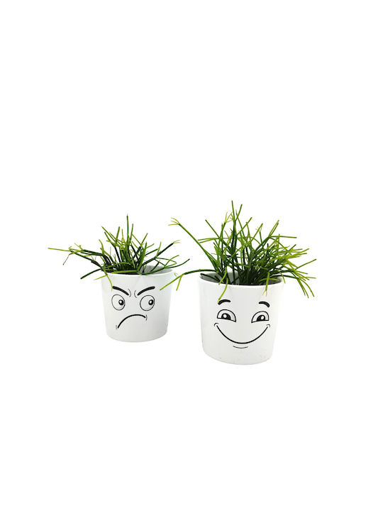 Σύνθεση Rhipsalis Κασπώ Φατσούλα Διπλή Happy Angry