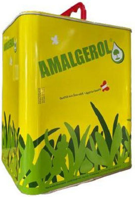 Amalgerol Тор