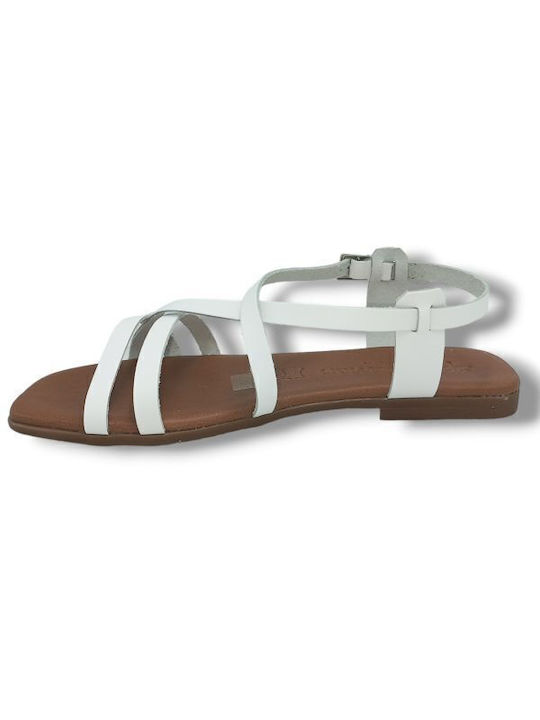Oh My Sandals Oh My Sandals