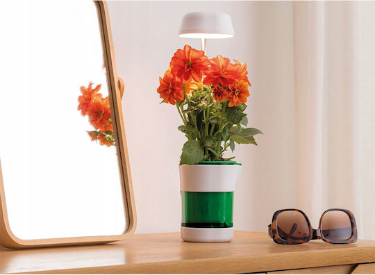Desk Grow Light with LED and Power 5W L6xW17xH6.5cm.