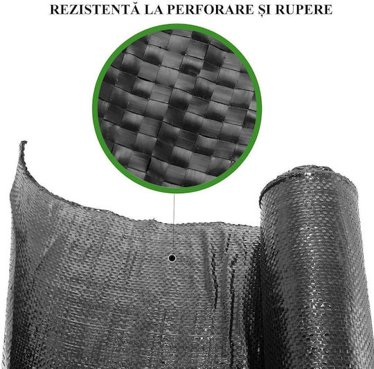Strend Pro 217472 Țesătură Pentru Acoperirea Solului 100gr/m² 10x2m Neagră