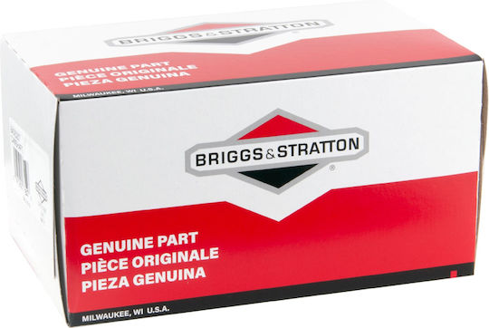 Briggs & Stratton Came 793880-84005207