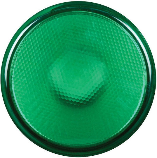 VK Lighting Bec LED 15W Verde