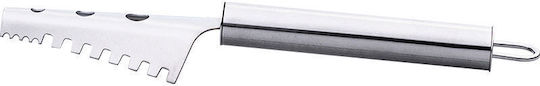 Fish Scaler Stainless Steel 22cm