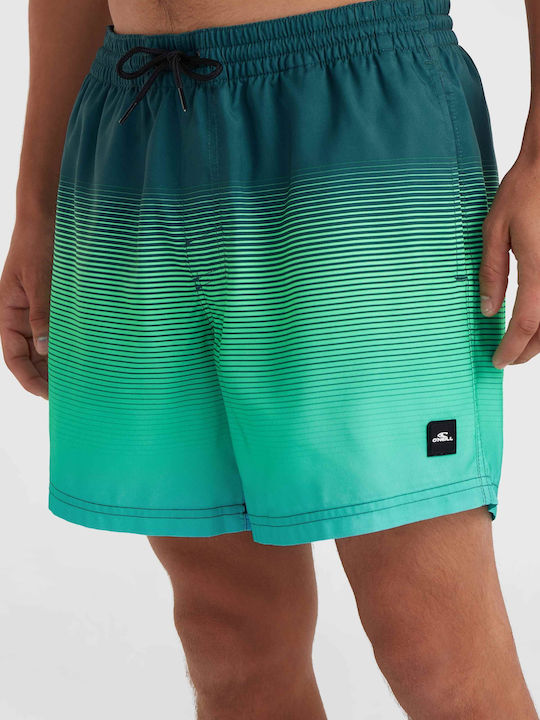 Cali Men's Swimwear Shorts Green Mix