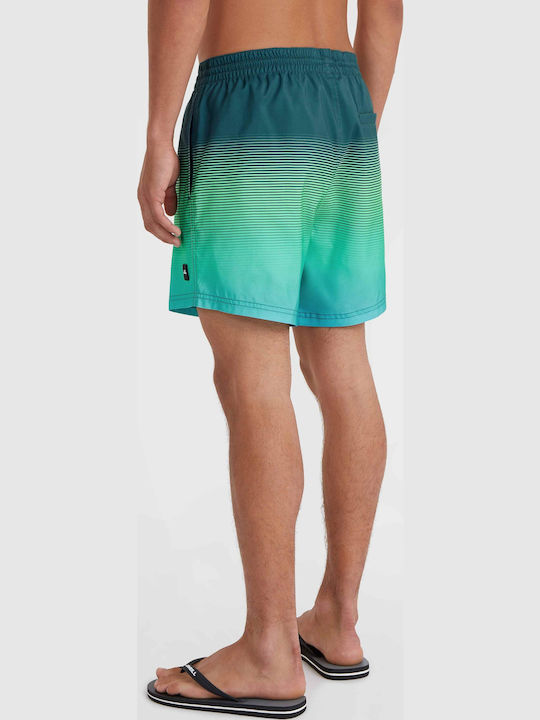 Cali Men's Swimwear Shorts Green Mix