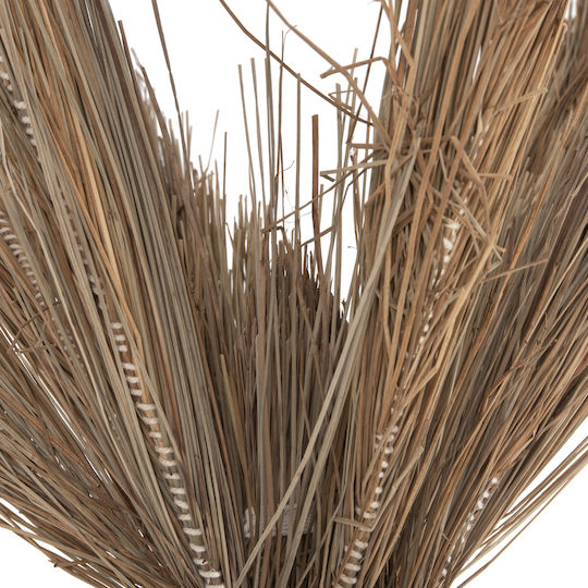 Διακοσμητικο Δεντρο Tropic Hm4324 Τ.φοινικα Mendong Grass 280yεκ