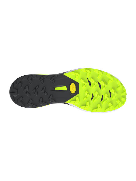 Alpine Dna 2 Sport Shoes Trail Running Nimbus / Black Out
