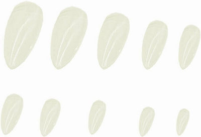 100 Oval Nail Tips Without Notch in Case