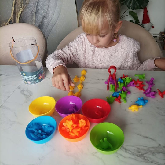 Montessori Educational Game Knowledge